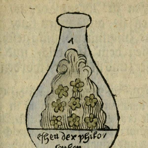 images/donum-dei-9-compendium-alchymist-novum-1706.jpg