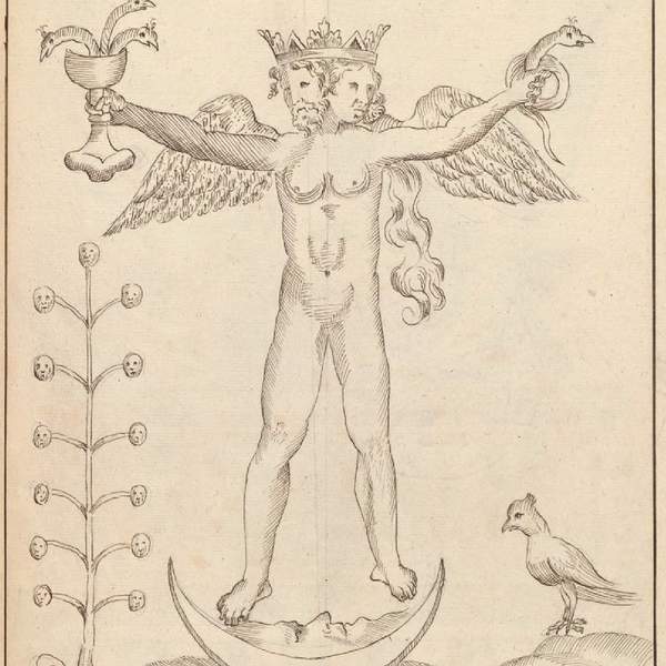 images/rosarium-philosophorum-alt-8-manly-p-hall.png